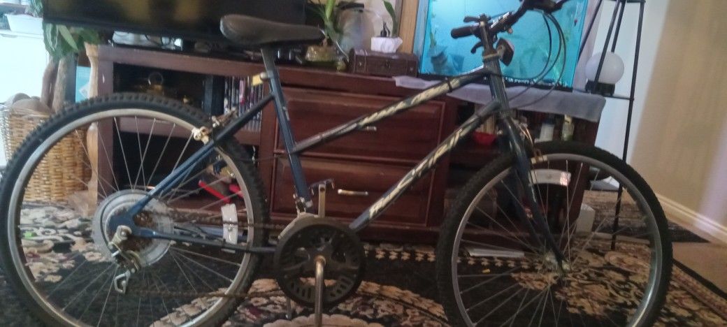 Creekride Bike 24"