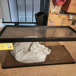 40 Gallon Reptile Tank