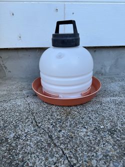 Poultry water dispenser