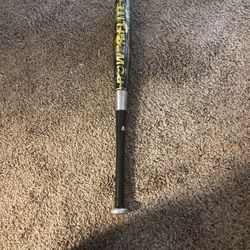 baseball bat