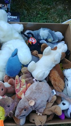 Full box of beanie buddies and babies