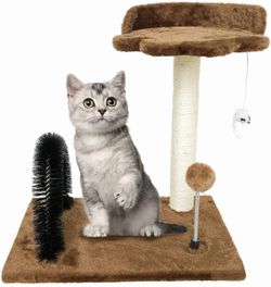 Kitten Scratching Post