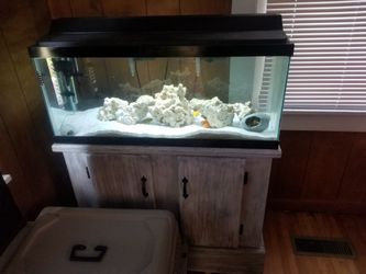 40 gallon Cichlid Tank and Nice Stand