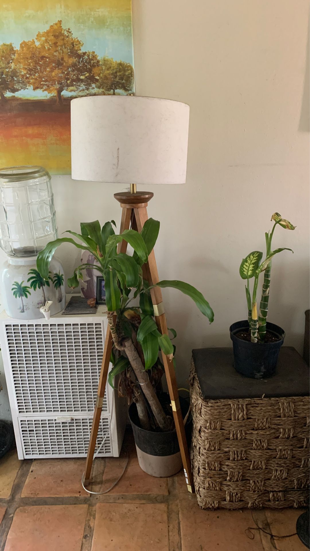 Lamp