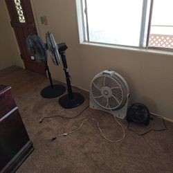 Various Fans