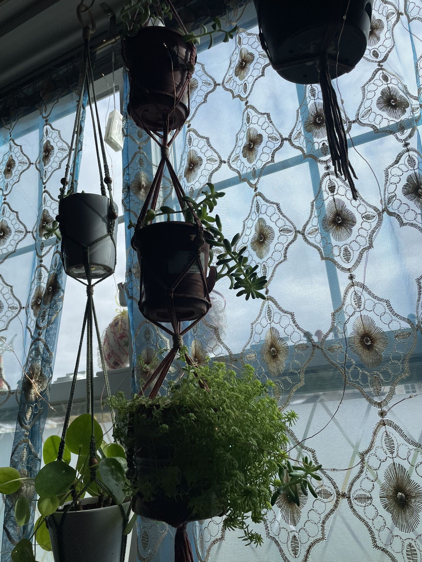 3 Tier Plant Hanger 