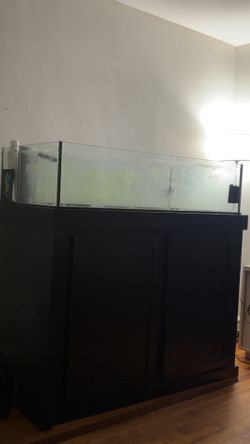 Rimless fishtank and stand