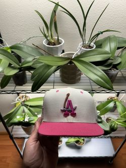 Los Angeles Dodgers 7 1/4 Fitted Hat