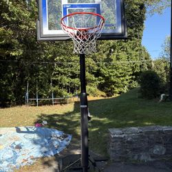 Life Time Basketball Court