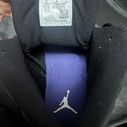 Jordan 12 Purple 