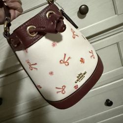Coach Dempsey Drawstring Bucket Bag 15 With Bow Print