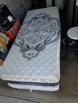 Twin,Queen Size Bed