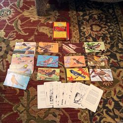 A Vintage North American song birds card game