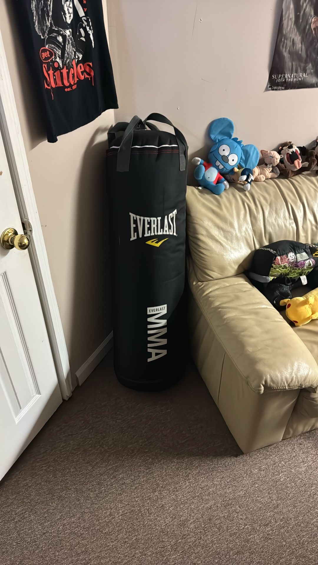 Everlast MMA Punching Bag Good Condition