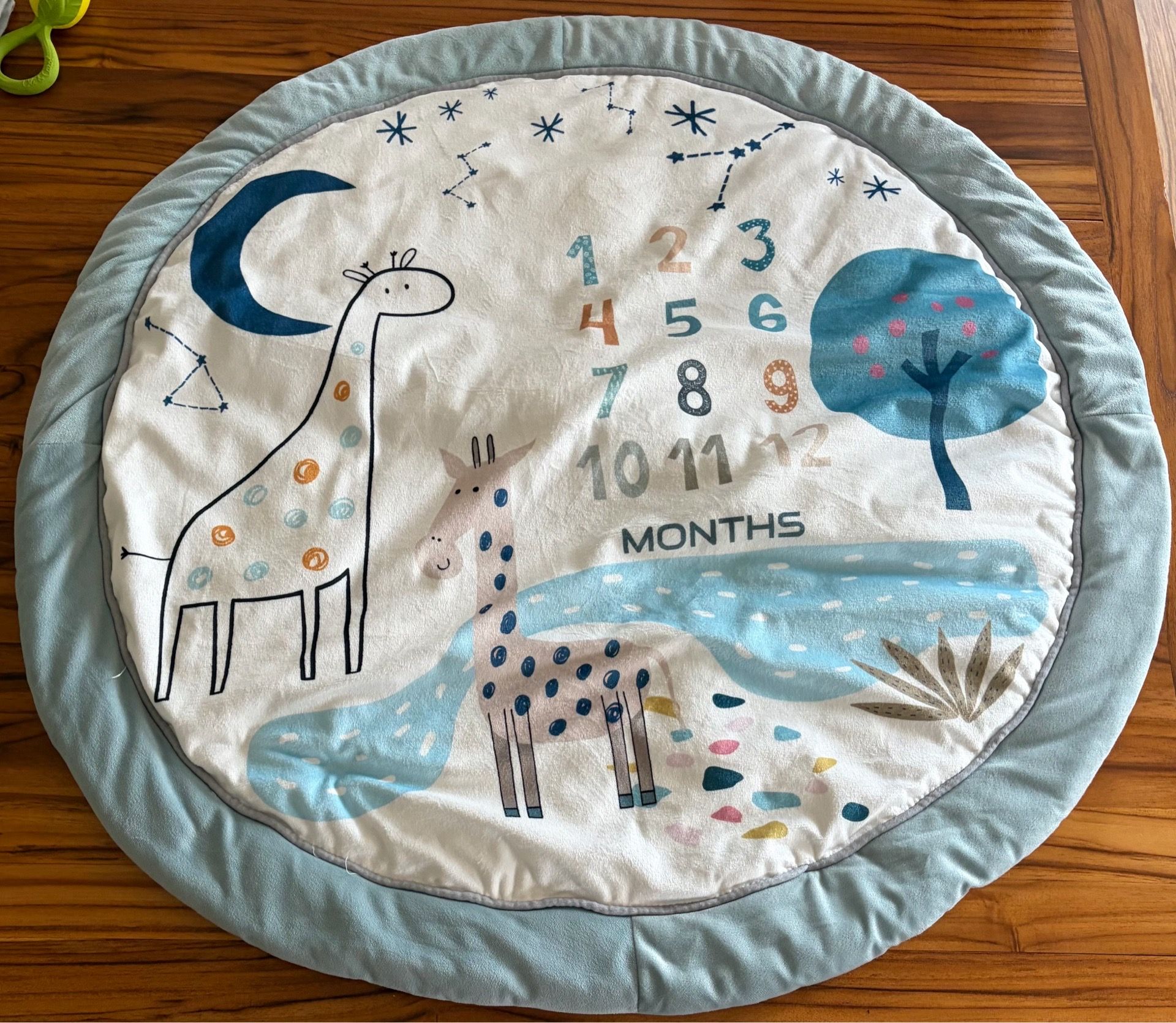 Baby Months Circle $10