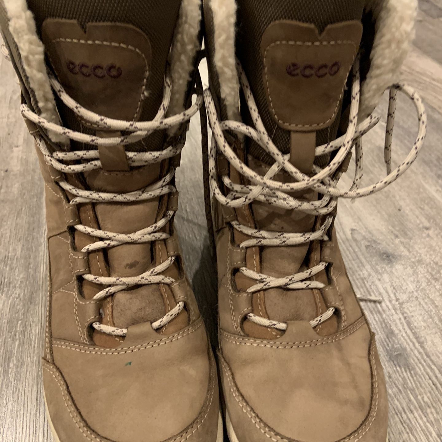 Ecco winter boots