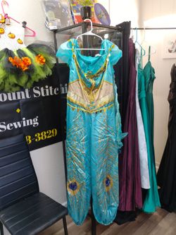 Jasmine costume size large 12-14