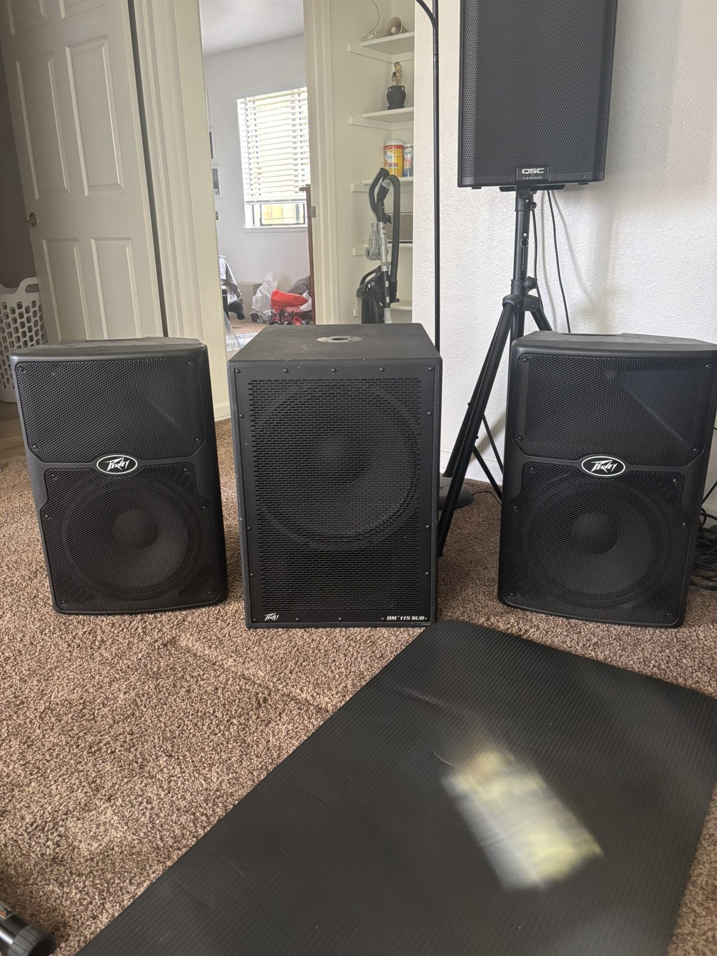 2 Peavey 12 Speakers 1 Peavey Sub