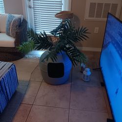 Cat Decorative Litter Box