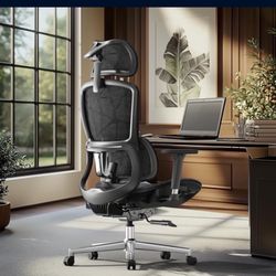 A2 LN Hbada E2 Ergonomic Office Chair