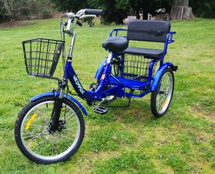 20" Weimmin Tricycle