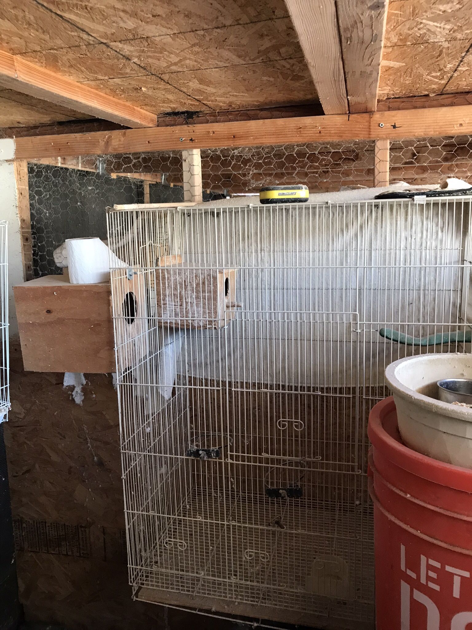 Bird Cage Large