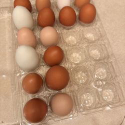Farm Fresh Organic Chicken Eggs