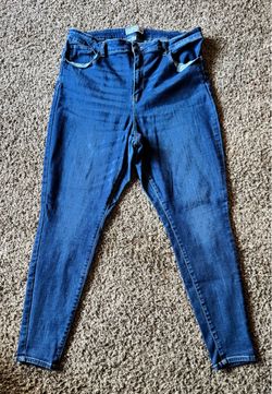 Blue Skinny High-Rise Jeans Plus Size