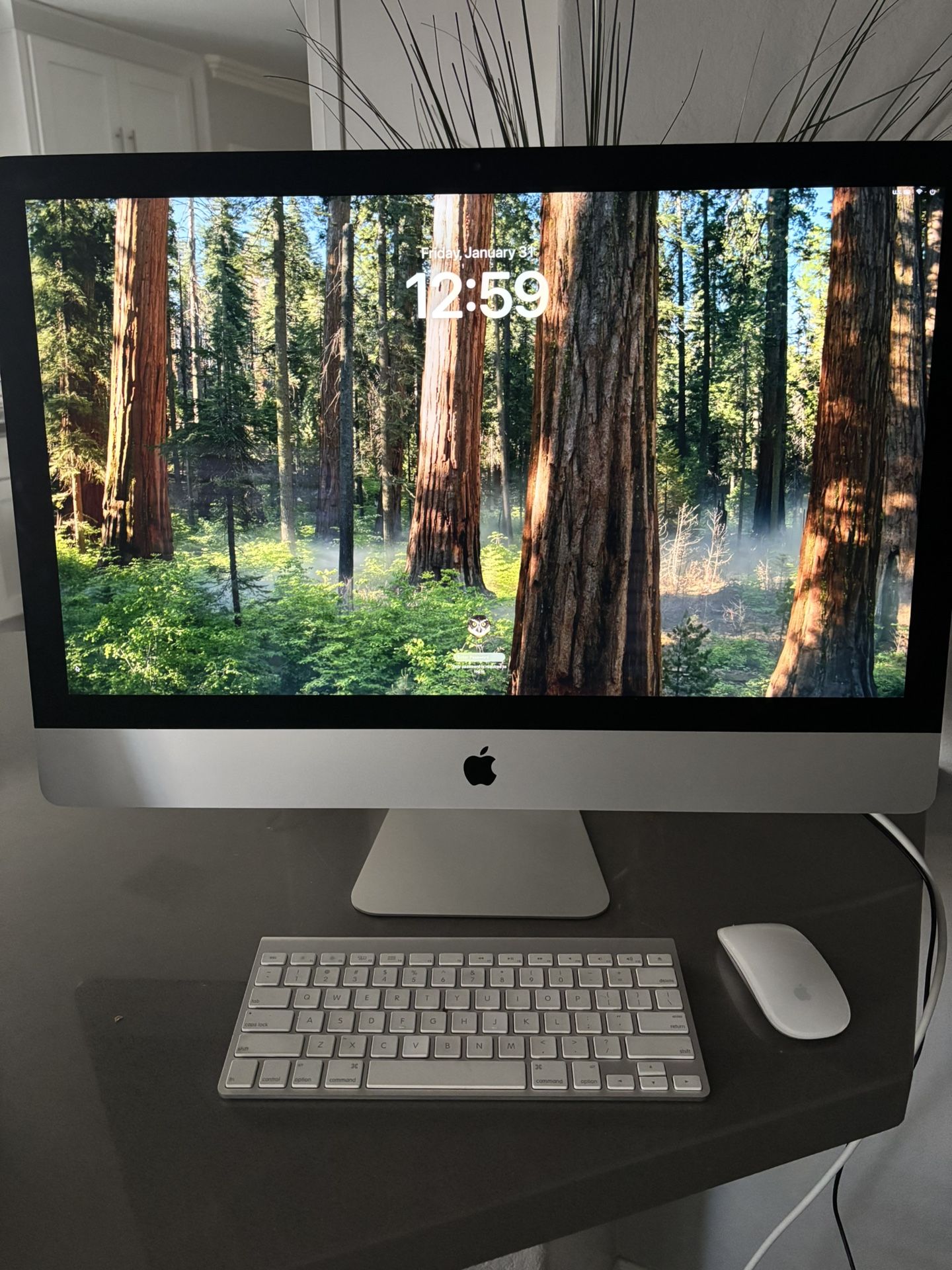 2017 iMac 27” display 4k resolution Super fast Intel core i5 processor Dedicated graphics 4gb ( good for graphics design editing music ga