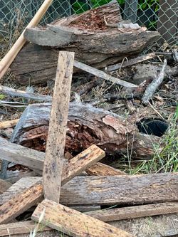 Firewood, Timber & Kindling - FREE