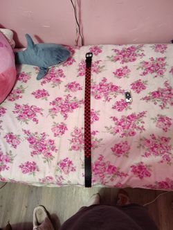 Red And Black Scene Belt 