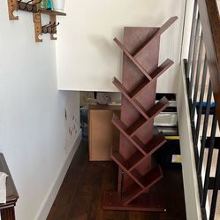 Book Case/ Shelve 