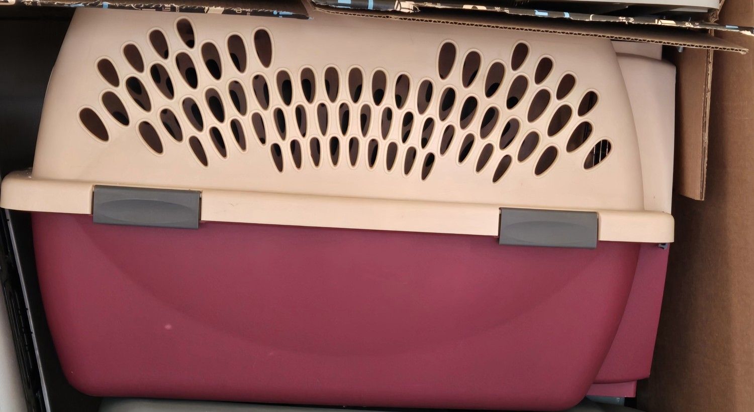 Pet Carrier