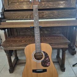 Aspen Acoustic Guitar 