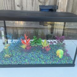 10 Gal Aquarium with Filter and Decorations 