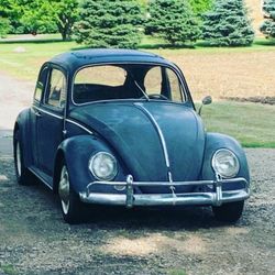 For Sale 1965 Bug