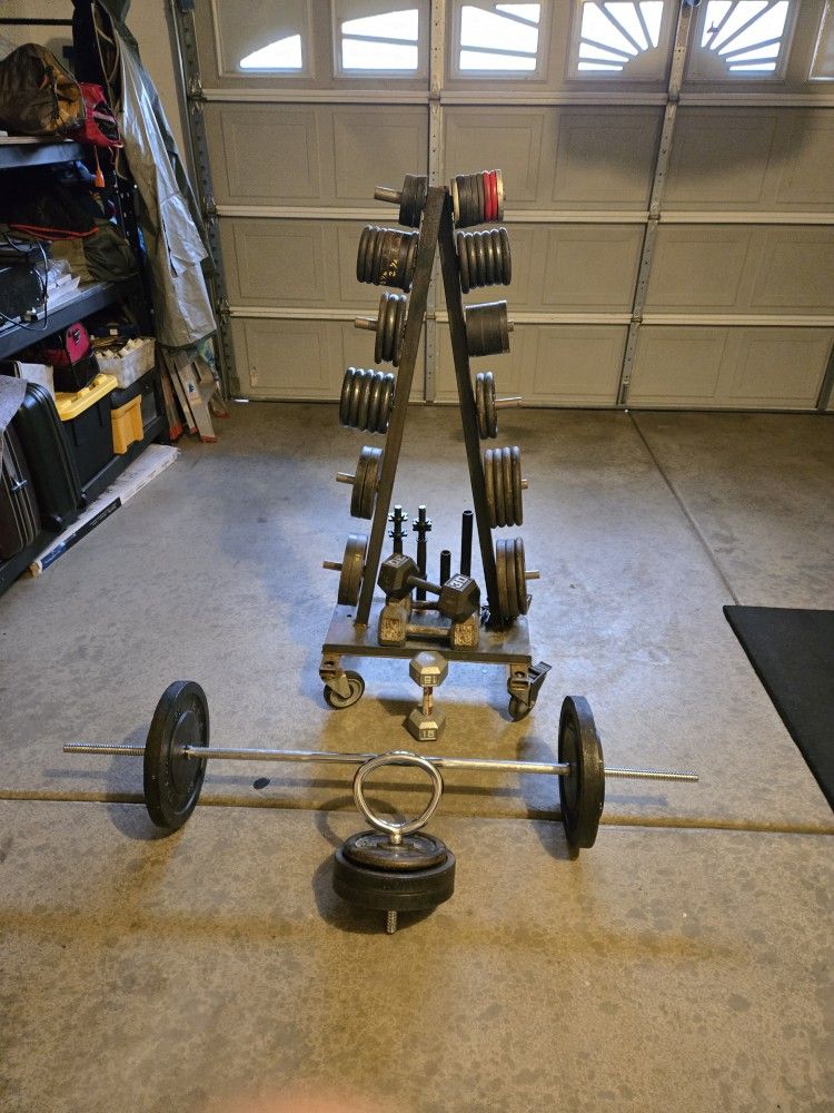 450lbs Standard Weights.