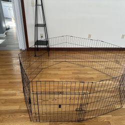 Dog Fence