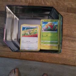 228 Pokemon Cards Plus Tin