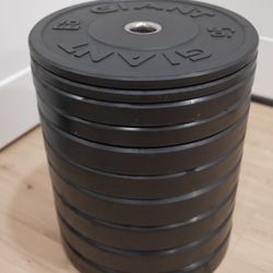 Giant Bumper Plates