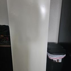 Standing Insignia Freezer.