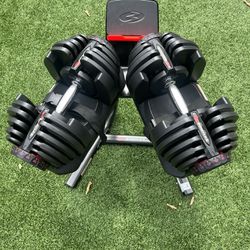 Bowflex 1090 Adjustable Dumbbell Set With Stand