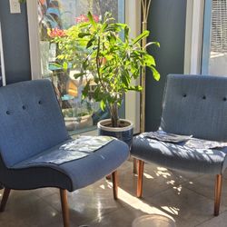 Inspired Mid-century Chairs 