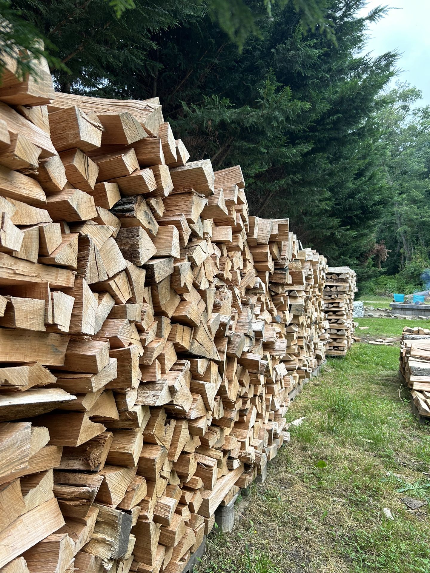 Firewood