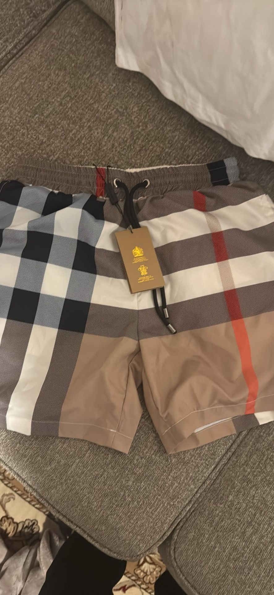 Burberry Swim Shorts