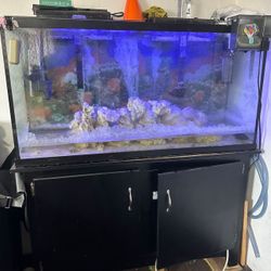 Fish Tank 60 Gls With LED Light