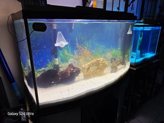 46 Gallon Bow Front Aquarium With Stand, Lid, Light, Gravel 