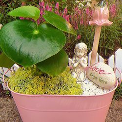 Fairy garden