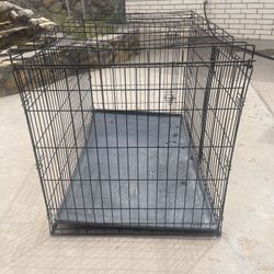 Dog Kennel 