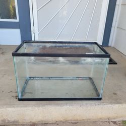 10 gallon Tank 